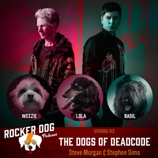 Steve Morgan & Stephen Sims - Deadcode