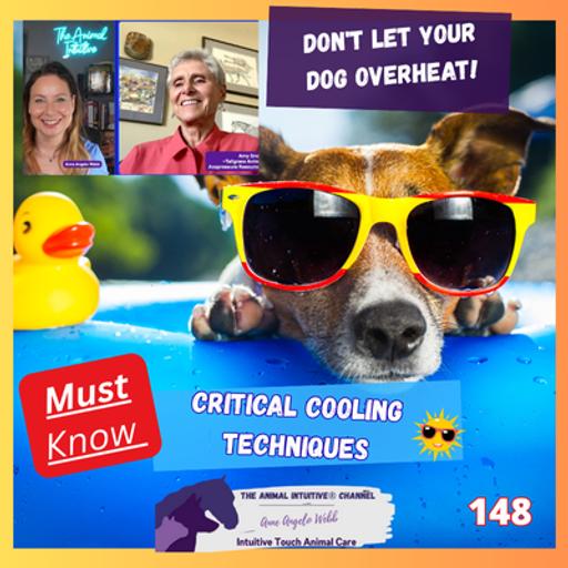 Pet LIFESAVING AcuPoints, Common Myths + Early Signs You Can’t Miss! ☀️Ep 148
