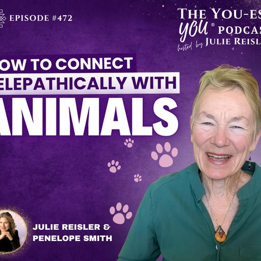 How to Connect Telepathically with Animals