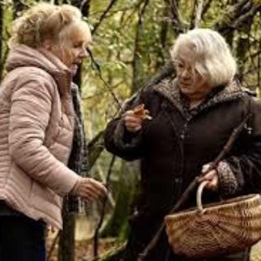 Review: When Fall Is Coming