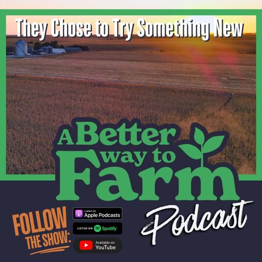 317: They Chose to Try Something New