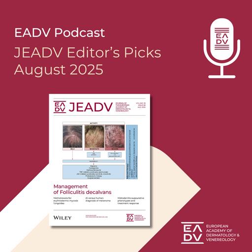 E143: Editor’s Picks August 2025