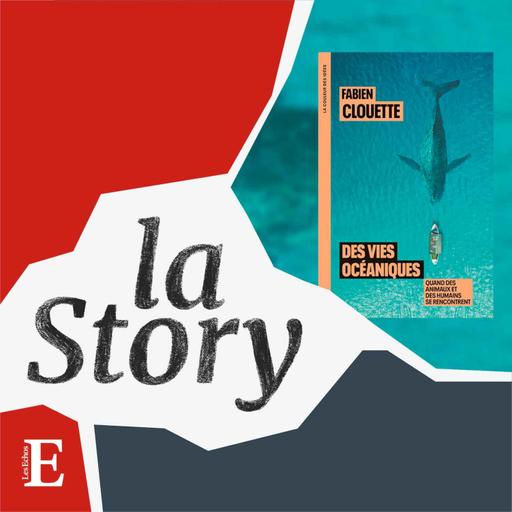 Humains et animaux marins : ce qui nous lie - 5/6