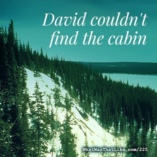 225: David couldn't find the cabin