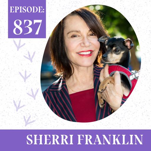 Senior Dog Rescue Champions: A Conversation with Sherri Franklin of Muttville