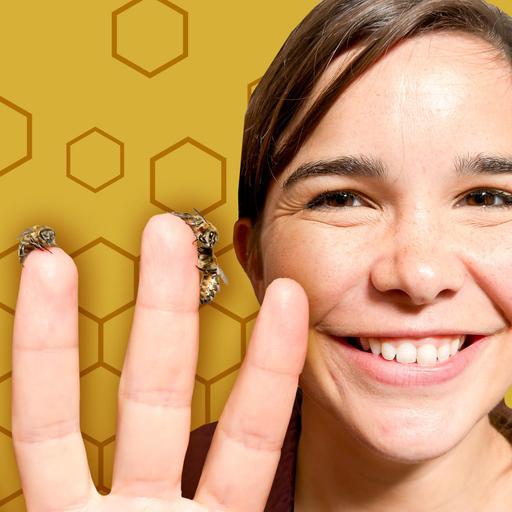 Honigbienen – Fleißige Insekten mit vielen Aufgaben