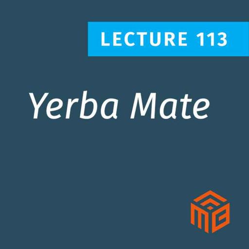 Yerba Mate and Metabolism: What the Science Says