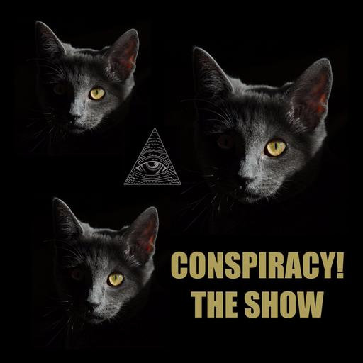 The Missing Minutes From the Epstein Video