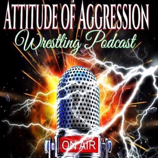 Attitude Of Aggression #316- The Big Five Project: Survivor Series '95