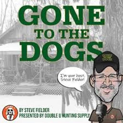 Gone To The Dogs with Tom Hopkins