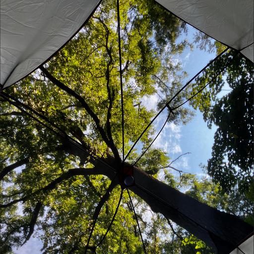 Midnight cricket party, Taughannock State Park, New York, USA on 16th August 2025 – by Kalli Anderson