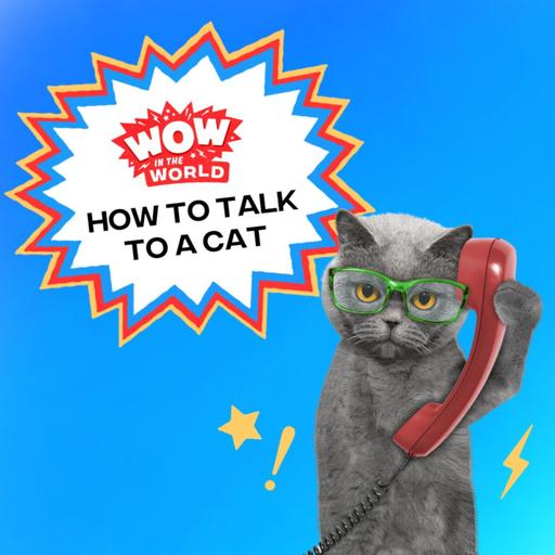 How To Talk To A Cat (8/4/25)