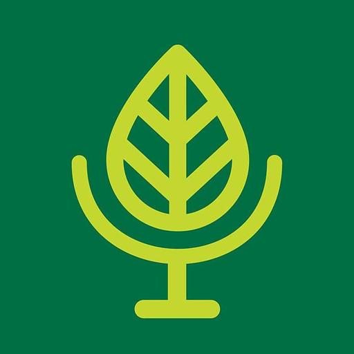 Revisiting The Wildfires in the Amazon and Conservation in Brazil