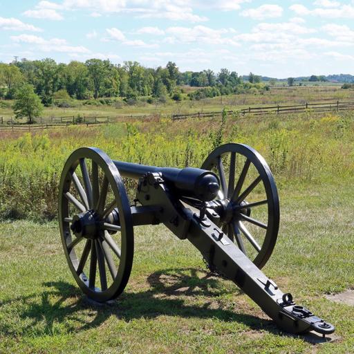 Grassland Birds Thrive in Battlefield Parks