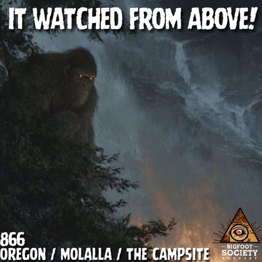 Eight Feet of Fury: Oregon’s Sasquatch Strikes