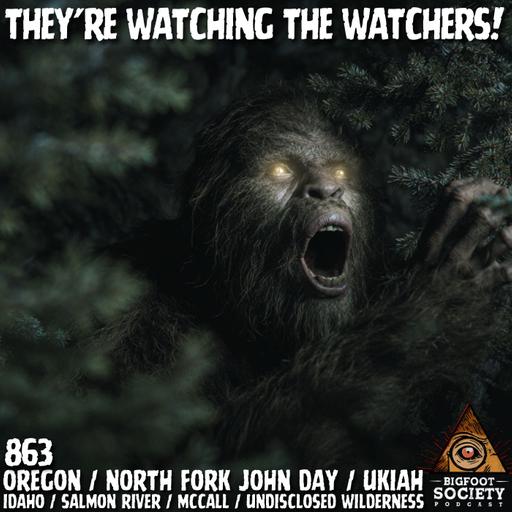 Something Watched Me From 200 Yards — Then Vanished | Oregon | Idaho