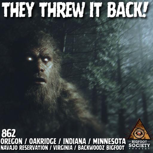 Threw Rocks, Watched Me Run — Bigfoot Encounter in Oregon Mountains