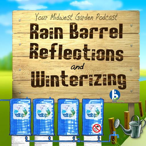 Rain Barrel Reflections & Winterizing