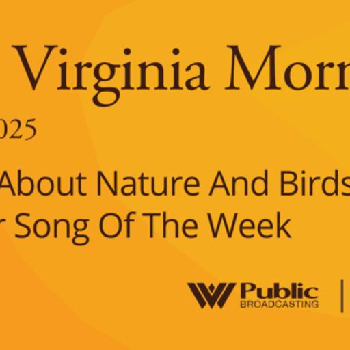 Writing About Nature And Birds And Our Song Of The Week, This West Virginia Morning