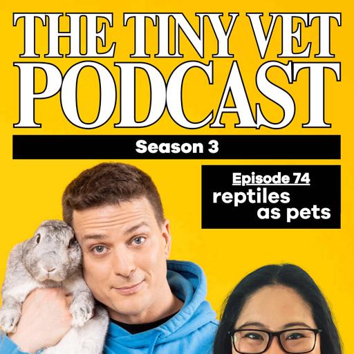 75: Reptiles as Pets