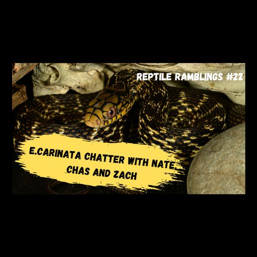 E. carinata Chatter with Chas and Zach | Reptile Ramblings #22