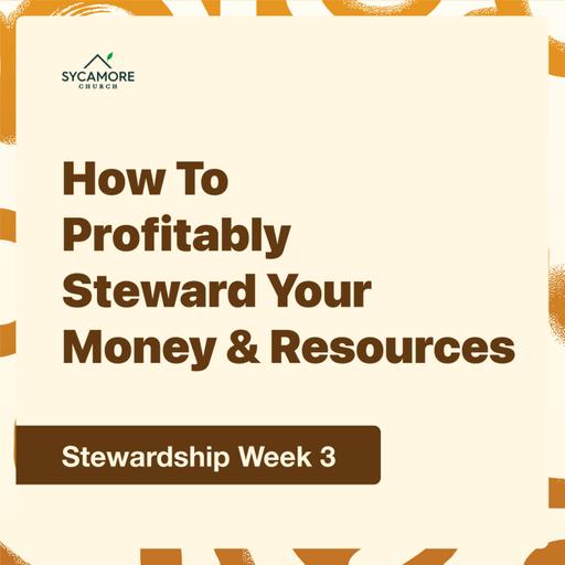 How To Profitably Steward Your Money & Resources | Stewardship Week 3 | Pastor Tolulope Moody