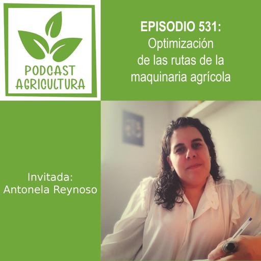 531 Optimización de las rutas de la maquinaria agrícola con Antonela Reynoso