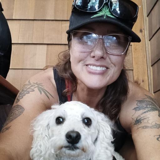 Episode 462: From Tumors to Triathlons: Jessamyn Way's Cannabis Journey