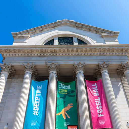 Casey Luskin Calls on the Smithsonian to Get It Right on Human Origins