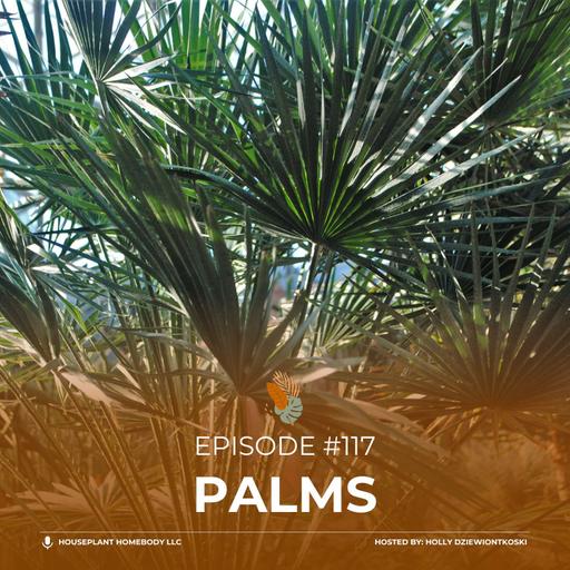 Ep#117: Palms