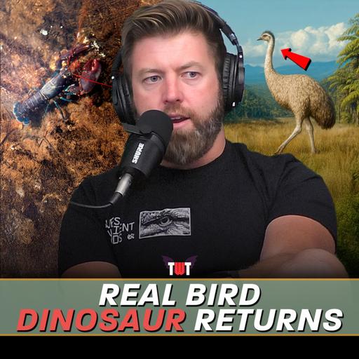 Extinct Giant Bird De-Extinction, The Truth About Vets & World Record Lobsters