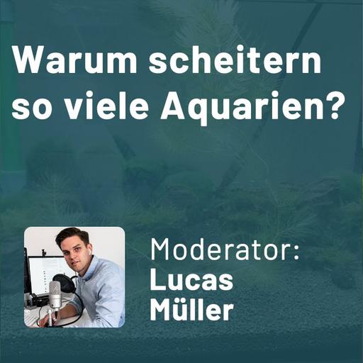Warum scheitern so viele Aquarien? (Lucas Müller)