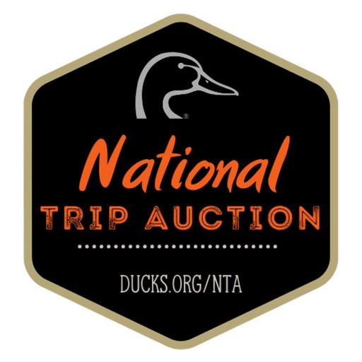 Ep. 699 - Bid on Your Dream Adventure: A Deep Dive into the National Trip Auction