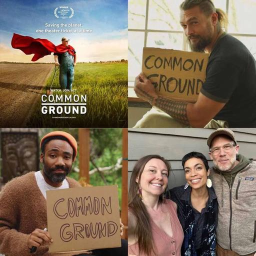 From 'Bee: Wild' to the 'Kiss the Ground' Regenerative Agriculture Documentary Trilogy - Highlights