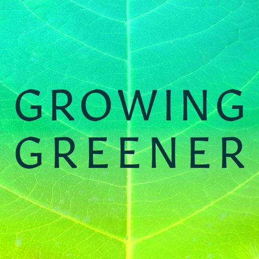 The Path from Traditional Horticulture to Ecological Gardening – Part Two