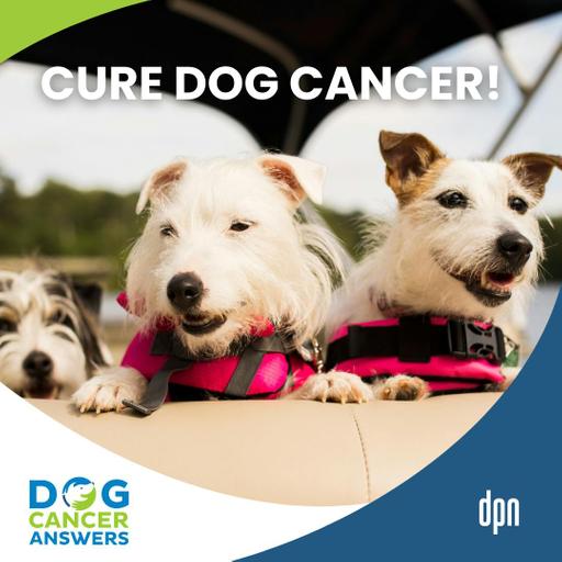 Help Cure Cancer in Dogs: Darwin’s Ark Cancer Project | Dr. Michelle White #290