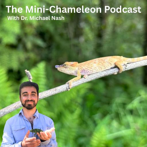Introduction to Mini-Chameleons