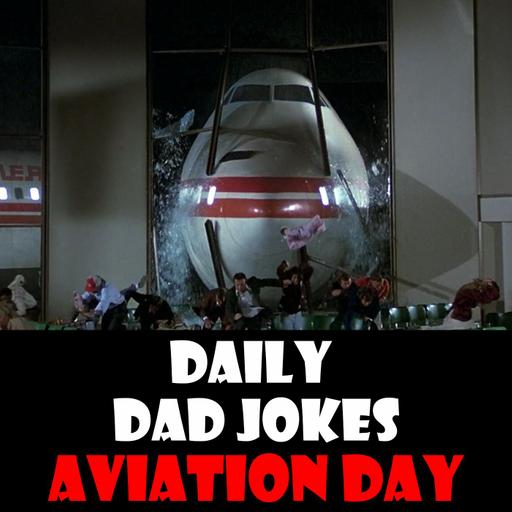 World Aviation Day! Fly high with these dad jokes! 19 August 2025