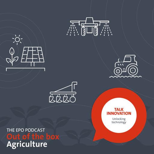 Out of the Box: Cultivating the unexpected