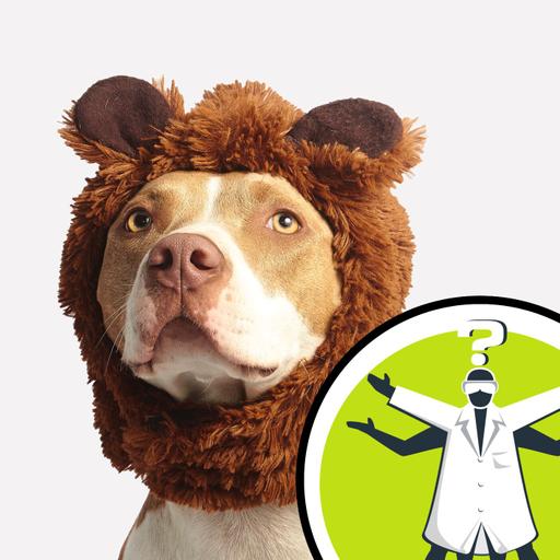 Can a dog and a fox produce viable offspring?