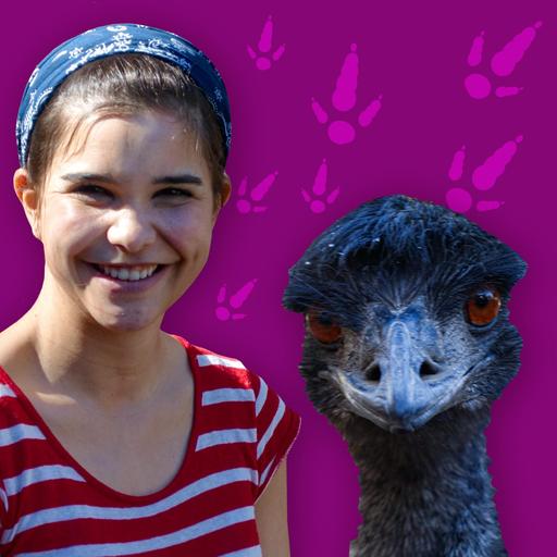 Emus – Australische Laufvögel mit besonderen Federn