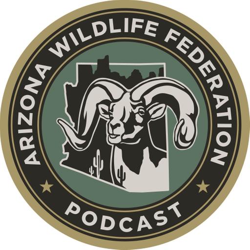 Elevated Falconry with Tyler Sladen
