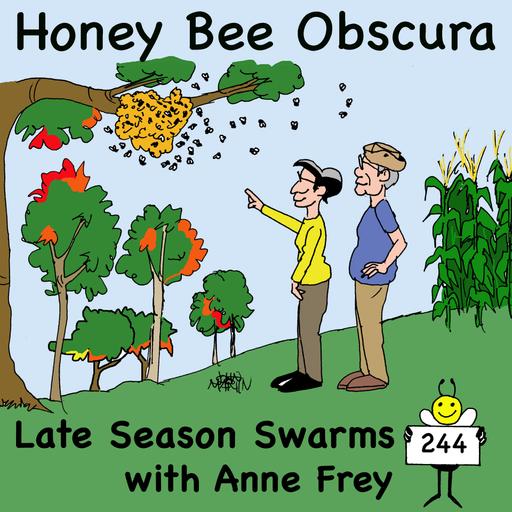 Late Season Swarms with Anne Frey (244)