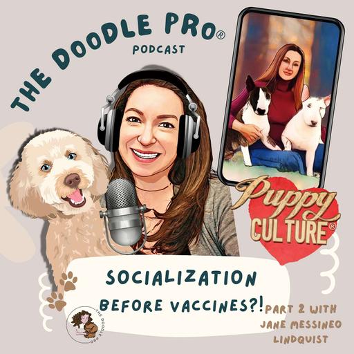 73: The Shocking Truth About Puppy Socialization Before Vaccines I Puppy Culture Part 2