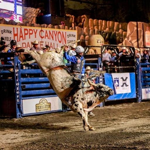 CONNECTION: Real-world ‘Yellowstone’ Ranchers and Rodeo Legends at the Pendleton Roundup