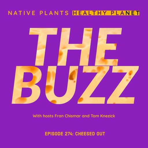 The Buzz - Cheesed Out