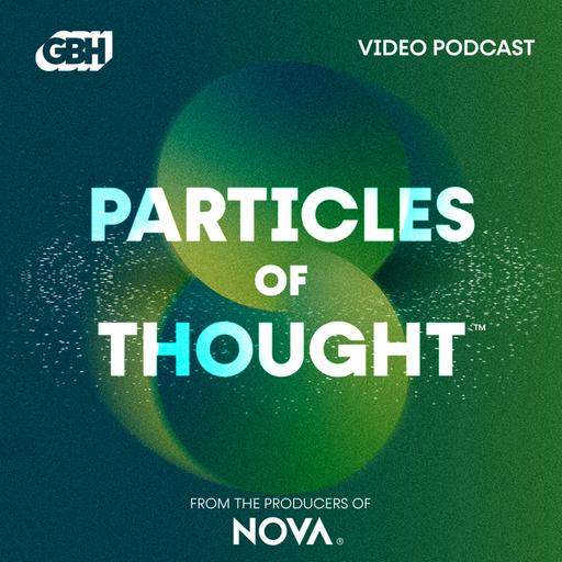 Introducing Particles of Thought