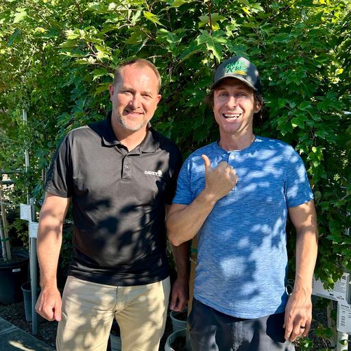 Tree Advice with Your Local Arborist