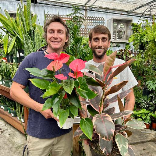 Let's Talk About Houseplants