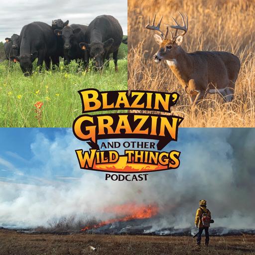 Hack, Spray, & Blaze: Enhancing Oklahoma’s Wildlife Habitats | BGWT #461